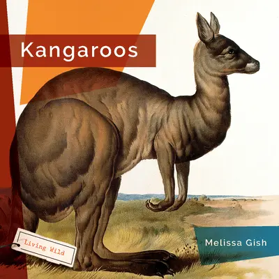 Kenguruk - Kangaroos