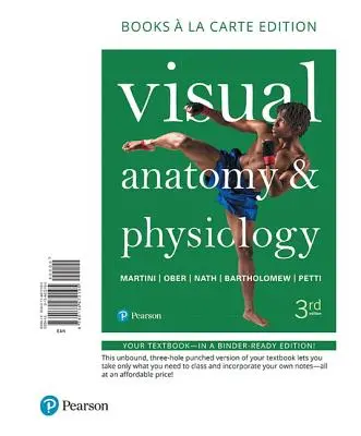 Vizuális anatómia és élettan - Visual Anatomy & Physiology