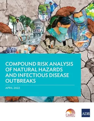 A természeti veszélyek és a fertőző betegségek kitörésének összetett kockázatelemzése - Compound Risk Analysis of Natural Hazards and Infectious Disease Outbreaks