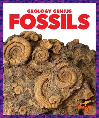 Fossziliák - Fossils