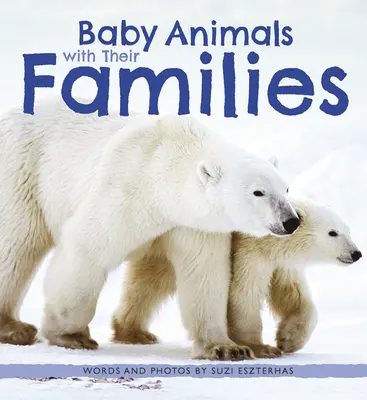 Állatbébik a családjukkal - Baby Animals with Their Families