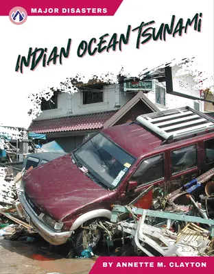 Indiai-óceáni cunami - Indian Ocean Tsunami