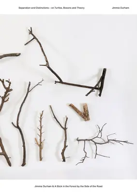 Jimmie Durham & egy bot az erdőben az út szélén: A teknősökről, a bozonokról és az elméletről - Jimmie Durham & a Stick in the Forest by the Side of the Road: Separation and Distinctions - On Turtles, Bosons and Theory