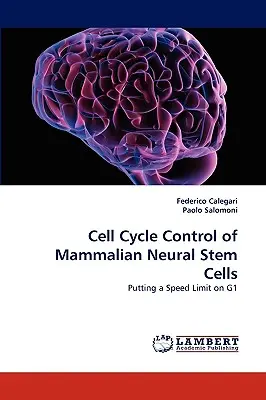 Az emlősök idegi őssejtjeinek sejtciklus-szabályozása - Cell Cycle Control of Mammalian Neural Stem Cells