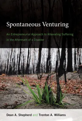 Spontán vállalkozás: Vállalkozói megközelítés a katasztrófa utáni szenvedés enyhítésére - Spontaneous Venturing: An Entrepreneurial Approach to Alleviating Suffering in the Aftermath of a Disaster