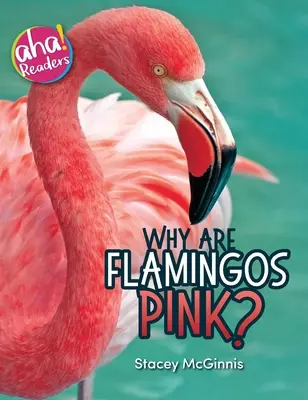 Miért rózsaszínűek a flamingók? - Why Are Flamingos Pink?