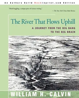 A folyó, amely felfelé folyik: Utazás az ősrobbanástól a nagy agyig - The River That Flows Uphill: A Journey from the Big Bang to the Big Brain