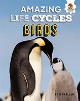 Madarak - Csodálatos életciklusok - Birds - Amazing Life Cycles