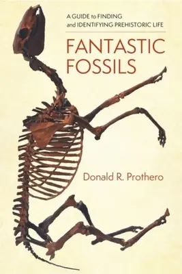 Fantasztikus fosszíliák: Útmutató az őskori élet megtalálásához és azonosításához - Fantastic Fossils: A Guide to Finding and Identifying Prehistoric Life