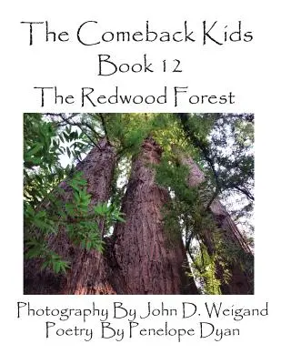 A visszatérő gyerekek, 12. könyv, a Vörösfenyő-erdő - The Comeback Kids, Book 12, the Redwood Forest