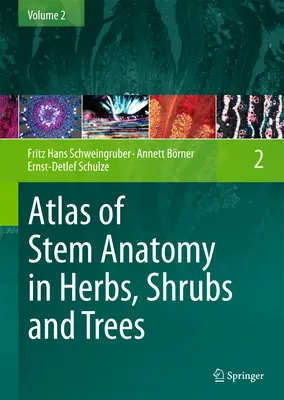 Atlas of Stem Anatomy in Herbs, Shrubs and Trees: 2. kötet - Atlas of Stem Anatomy in Herbs, Shrubs and Trees: Volume 2