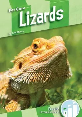 Gyíkok - Lizards