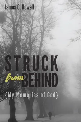 Hátulról lesújtva: Emlékeim Istenről - Struck from Behind: My Memories of God