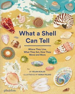 Amit egy kagyló elárul - What a Shell Can Tell