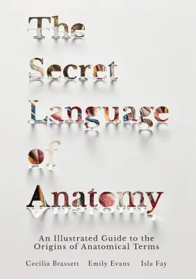 Az anatómia titkos nyelve: Képes útmutató az anatómiai kifejezések eredetéhez - The Secret Language of Anatomy: An Illustrated Guide to the Origins of Anatomical Terms