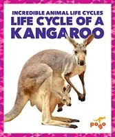 A kenguru életciklusa - Life Cycle of a Kangaroo