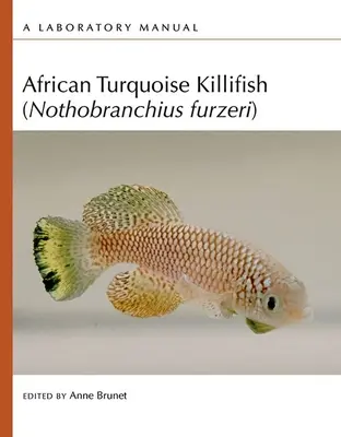 Afrikai türkizkék gyilkoshal (Nothobranchius Furzeri): A Laboratory Manual - African Turquoise Killifish (Nothobranchius Furzeri): A Laboratory Manual