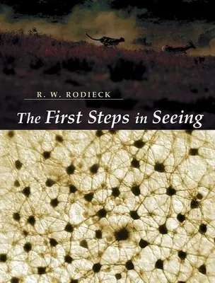 A látás első lépései - The First Steps in Seeing