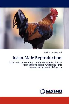 A madarak hímivarú szaporodása - Avian Male Reproduction