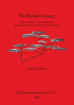 Az emberi lombkorona: Homo erectus, Homo soloensis, Homo pekinensis és Homo floresiensis - The Human Canopy: Homo erectus, Homo soloensis, Homo pekinensis and Homo floresiensis