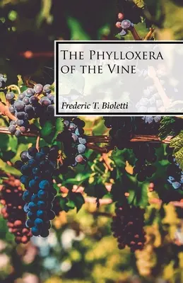 A szőlő filoxéra - The Phylloxera of the Vine