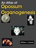 Az oposszumorganogenezis atlasza: Az oposszum fejlődése - An Atlas of Opossum Organogenesis: Opossum Development