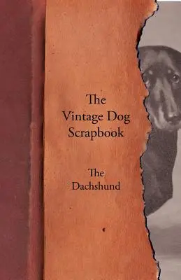 A Vintage Dog Scrapbook - A tacskó - The Vintage Dog Scrapbook - The Dachshund