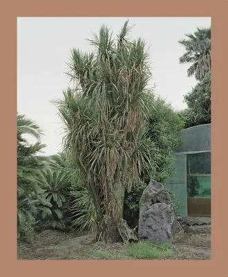 Oksun Kim: Jeju-sziget - Oksun Kim: Jeju Island