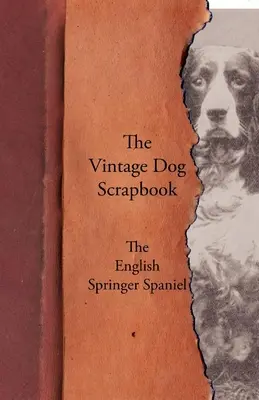 A Vintage Dog Scrapbook - Az angol Springer spániel - The Vintage Dog Scrapbook - The English Springer Spaniel