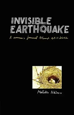 Láthatatlan földrengés: Egy nő naplója a csendéletről - Invisible Earthquake. a Woman's Journal Through Still Birth