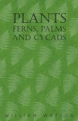 Növények - Páfrányok, pálmák és cikádok - Plants - Ferns, Palms and Cycads