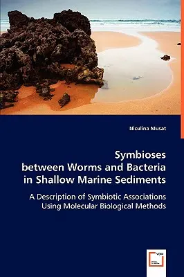 Férgek és baktériumok közötti szimbiózisok sekély tengeri üledékekben - Symbioses between Worms and Bacteria in Shallow Marine Sediments