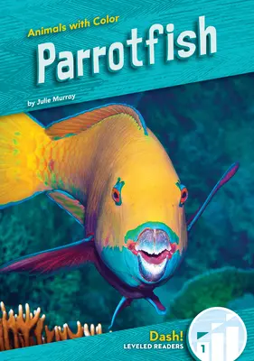 Papagájhalak - Parrotfish