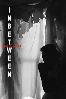 A kettő között: (Egy lírai regény) - Inbetween: (A Lyric Novel)