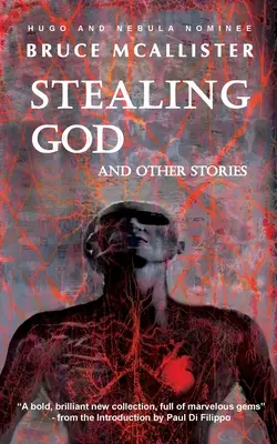 Istent lopva és más történetek - Stealing God And Other Stories