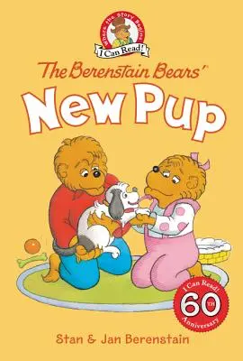 A Berenstain-macik új kölyke - The Berenstain Bears' New Pup