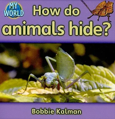 Hogyan bújnak el az állatok? - How Do Animals Hide?