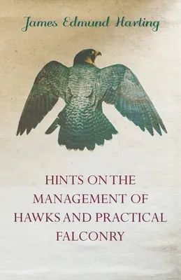 A sólymok tartására vonatkozó tanácsok és gyakorlati sólyomászat - Hints on the Management of Hawks and Practical Falconry