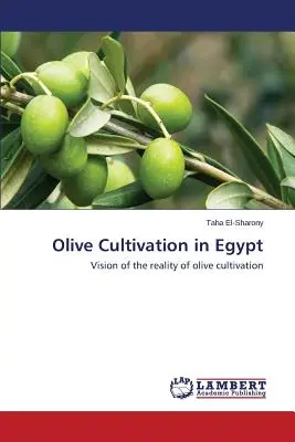 Olívaolaj-termesztés Egyiptomban - Olive Cultivation in Egypt