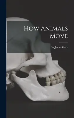 Jak se zvířata pohybují - How Animals Move