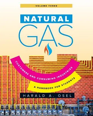 Földgáz: Fogyasztók és fogyasztó ipar: Kézikönyv a földgáziparban tanulók számára - Natural Gas: Consumers and Consuming Industry: A Handbook for Students of the Natural Gas Industry