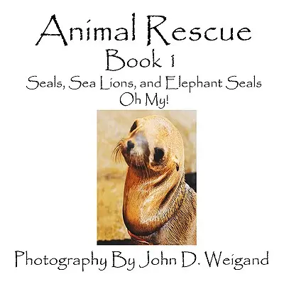 Állatmentés, 1. könyv, Fókák, tengeri oroszlánok és elefántfókák, jaj! - Animal Rescue, Book 1, Seals, Sea Lions And Elephant Seals, Oh My!