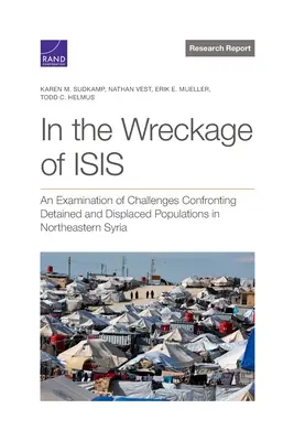 Az ISIS roncsai között: Az Északkelet-Szíriában fogva tartott és kitelepített népesség előtt álló kihívások vizsgálata - In the Wreckage of ISIS: An Examination of Challenges Confronting Detained and Displaced Populations in Northeastern Syria