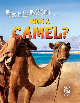 Tevelen lovagolni? - Ride a Camel?