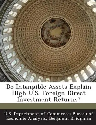 Az immateriális javak magyarázzák a magas amerikai közvetlen külföldi befektetések hozamát? - Do Intangible Assets Explain High U.S. Foreign Direct Investment Returns?