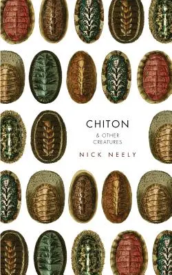 Chiton és más lények - Chiton & Other Creatures