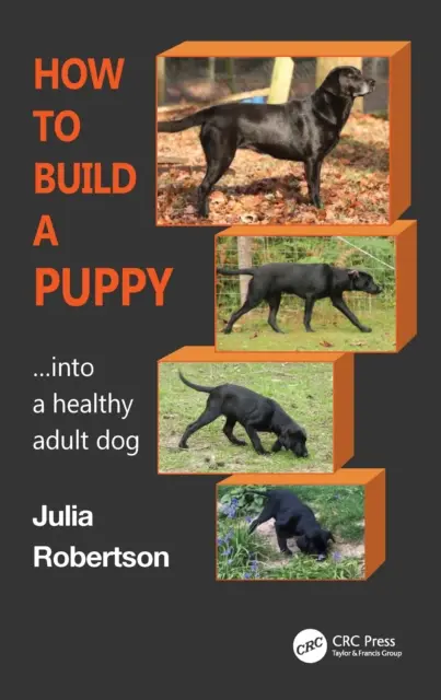 Hogyan építsünk fel egy kiskutyát: Egészséges felnőtt kutyává - How to Build a Puppy: Into a Healthy Adult Dog