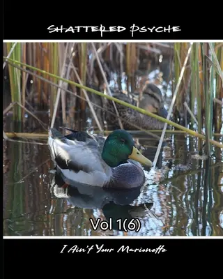 Roztříštěná psychika Vol 1(6) - Shattered Psyche Vol 1(6)