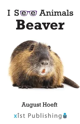 Hód - Beaver