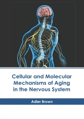 Az idegrendszer öregedésének sejtszintű és molekuláris mechanizmusai - Cellular and Molecular Mechanisms of Aging in the Nervous System